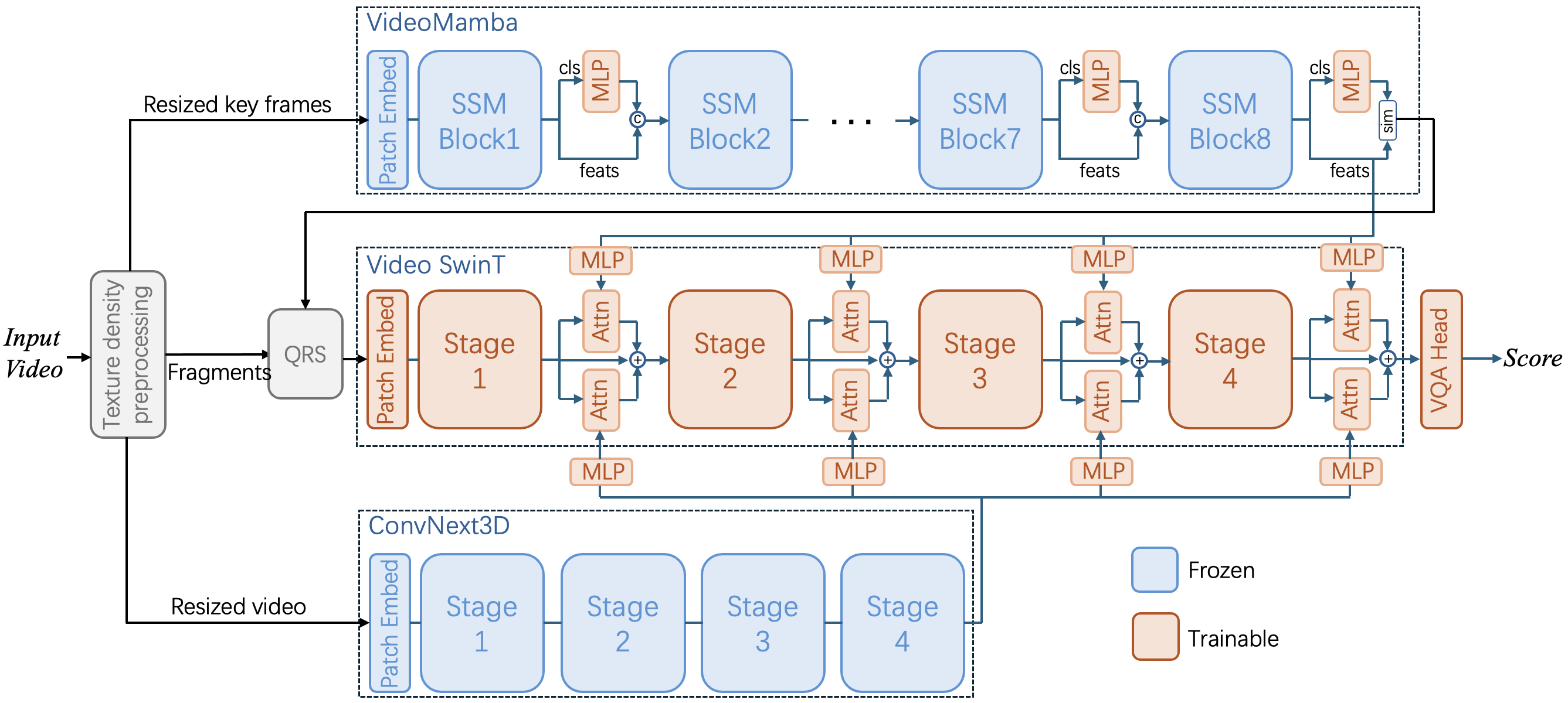 The overall framework of Team ZQE.
